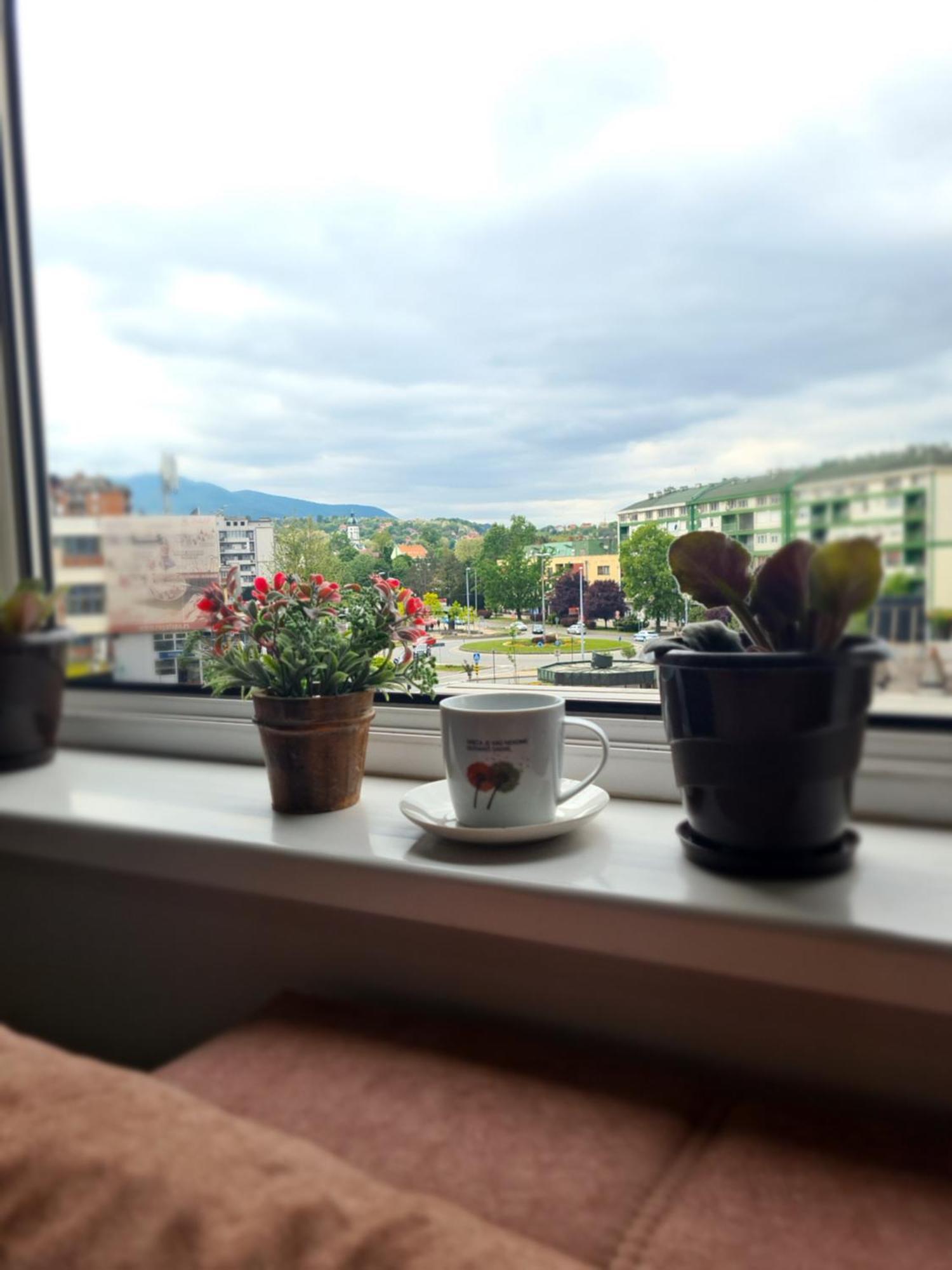 Ferienwohnung Stan Na Dan Loznica Exterior foto